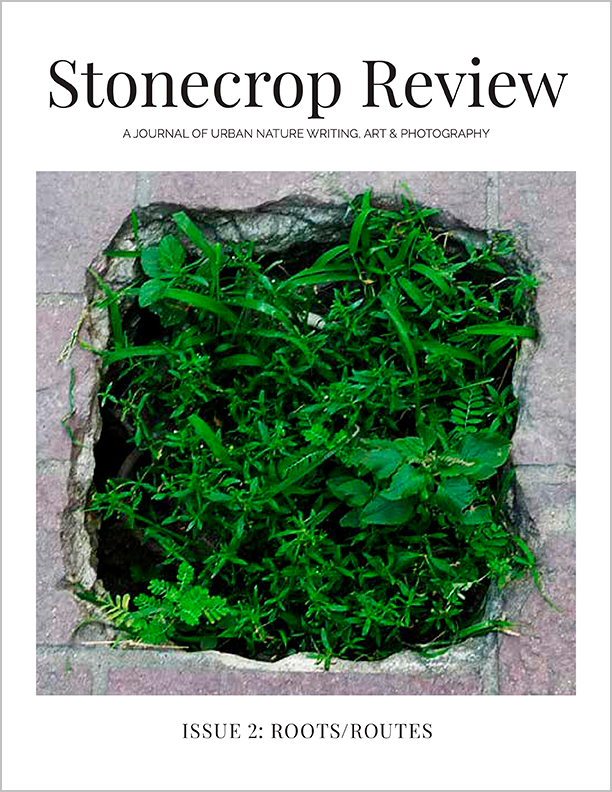 Cover image of Stonecrop Review, Issue 2: Roots/Routes.